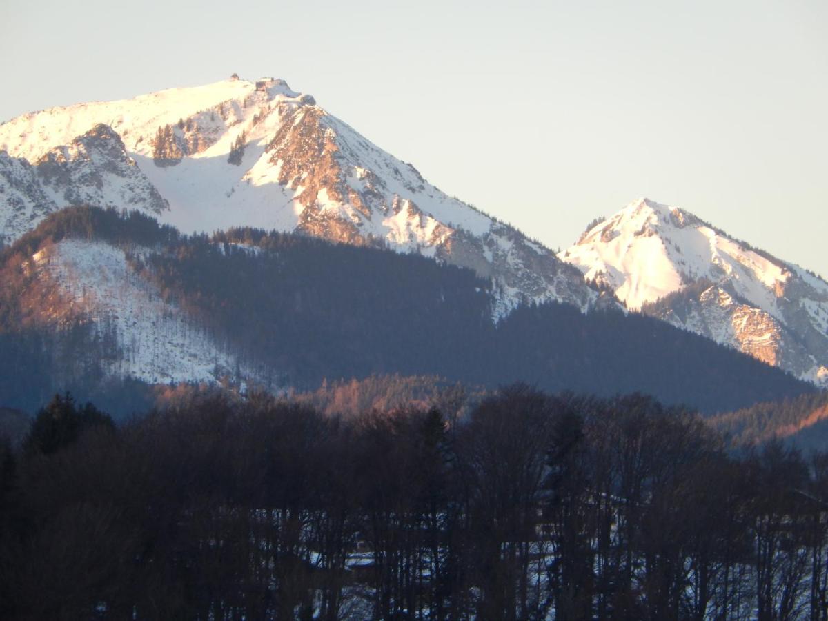 Private Luxury Chalet Siegsdorf Esterno foto